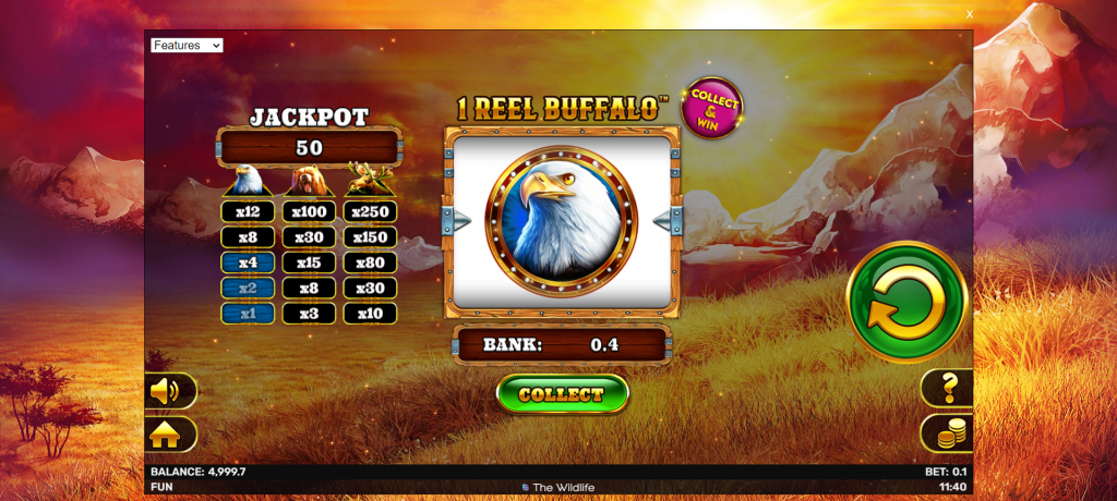 1 Reell Buffalo Slot